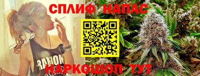 МДПВ Ивантеевка