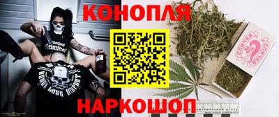 хмурый Камень-на-Оби