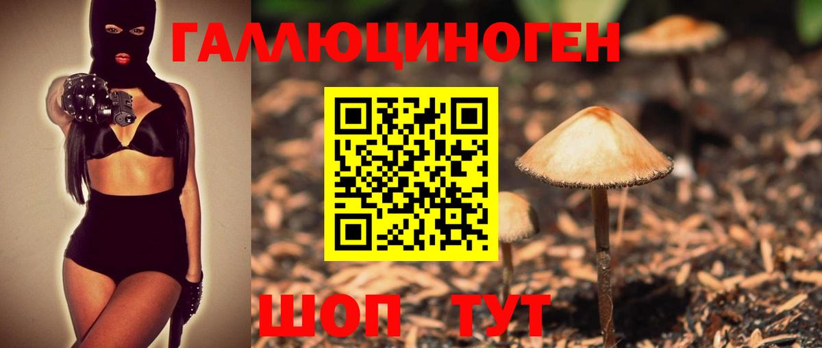 Галлюциногенные грибы MAGIC MUSHROOMS Подольск